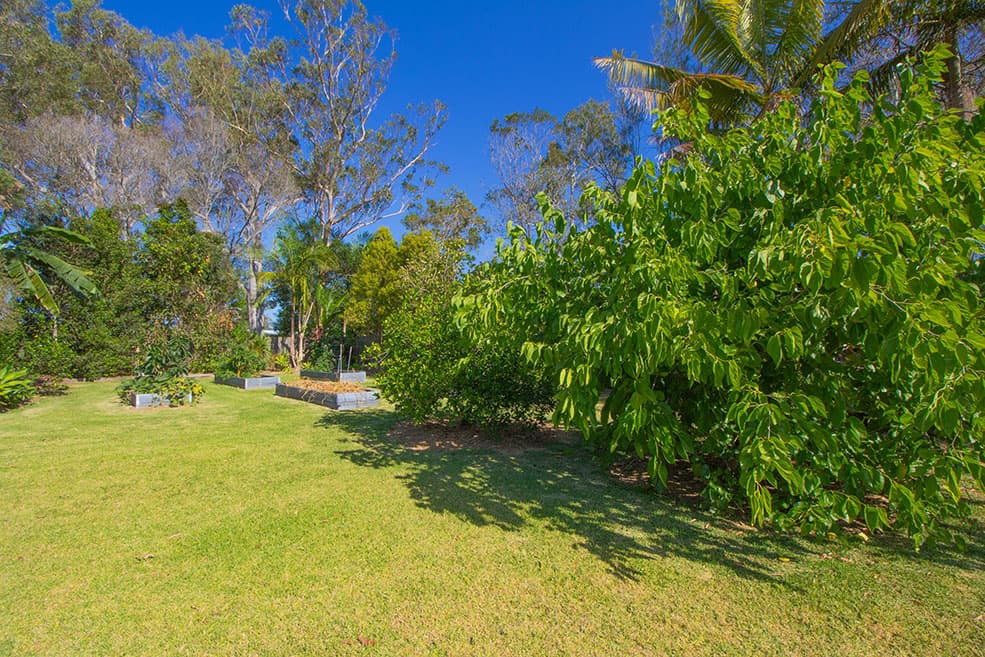 43 Cavanagh Place, Ningi, QLD, 4511, Ningi - Thumbnail 7