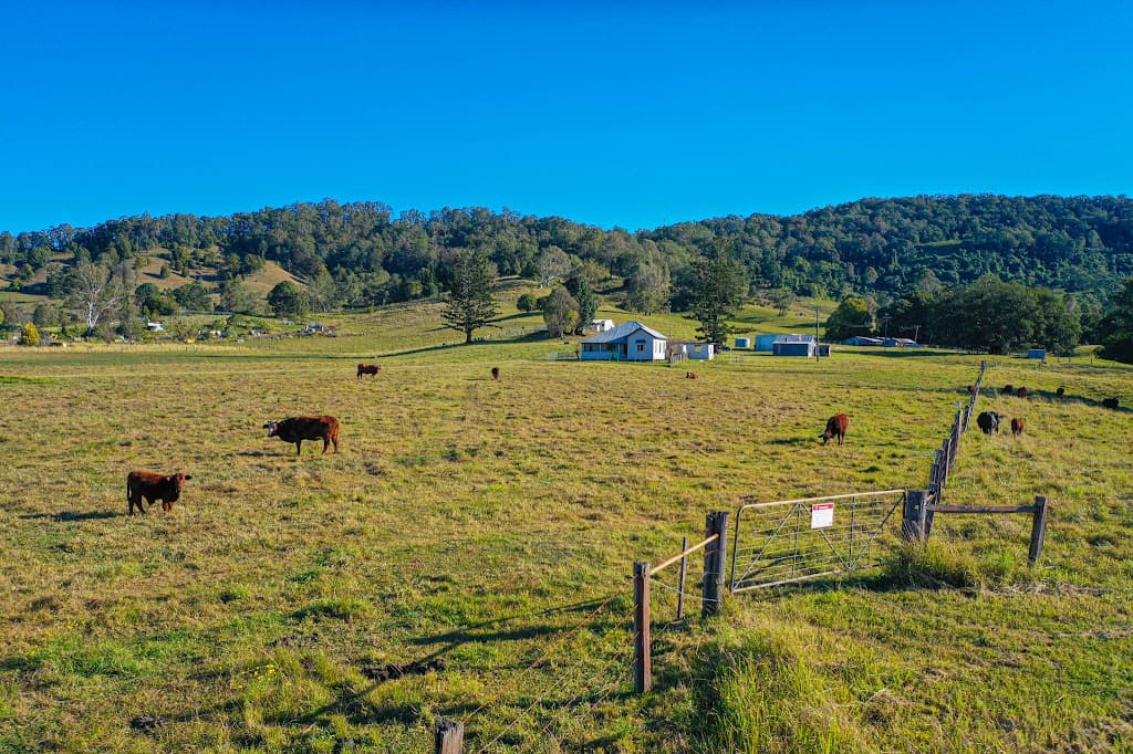 663 Jiggi Road, Jiggi, NSW, 2480, Jiggi - Thumbnail 2