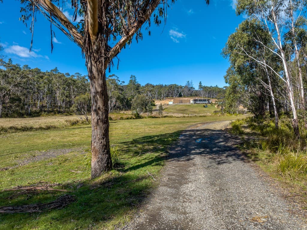 2088 Charleys Forest Road, Charleys Forest, NSW, 2622, Wog Wog - Thumbnail 4
