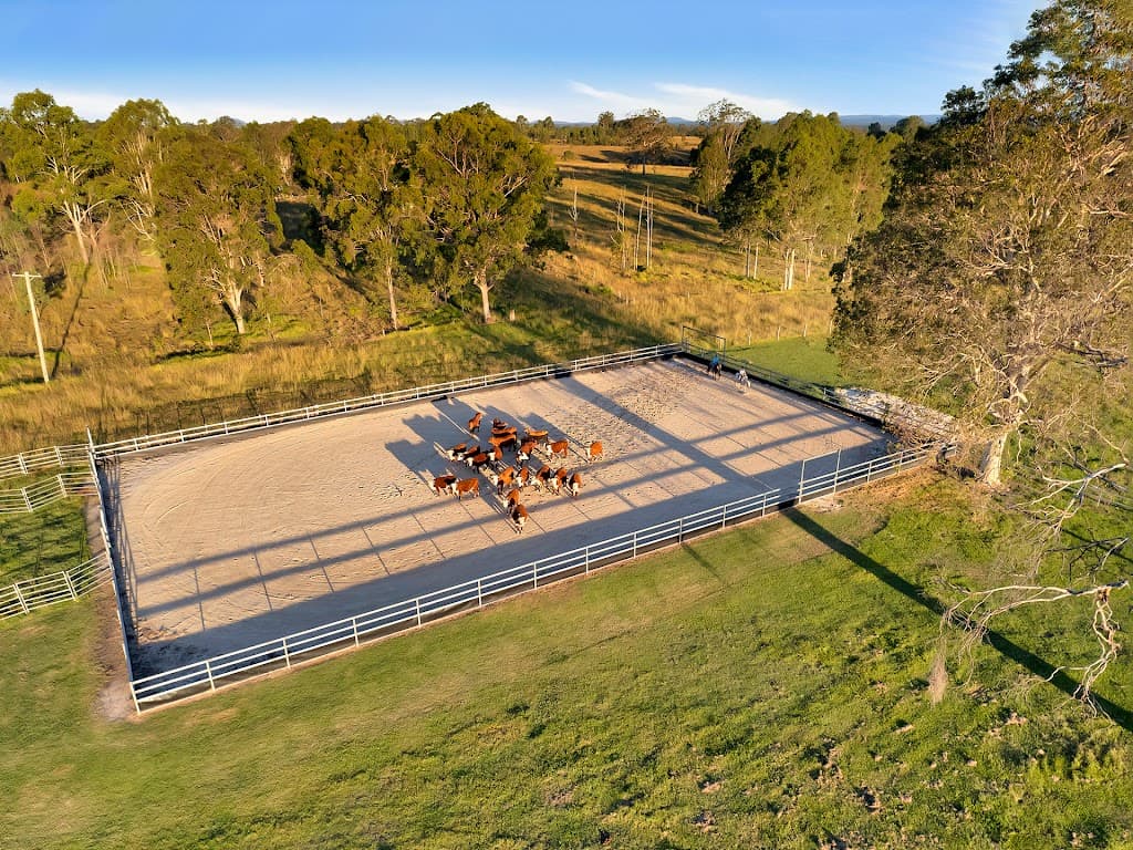 141 Goulds Road, Elland, NSW, 2460, Elland - Thumbnail 4