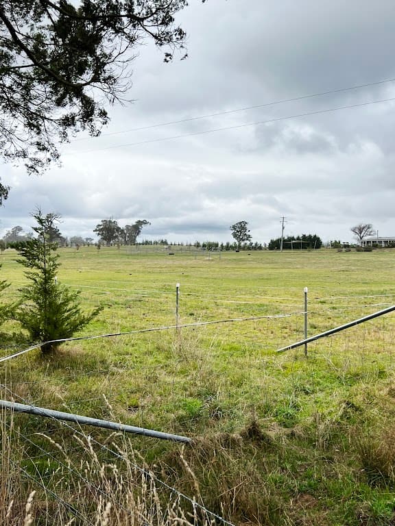 94 Coolabah Road, Bungonia, NSW, 2580, Bungonia - Thumbnail 5