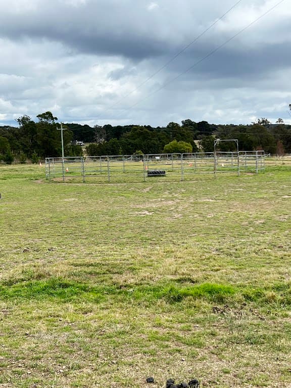 94 Coolabah Road, Bungonia, NSW, 2580, Bungonia - Thumbnail 6