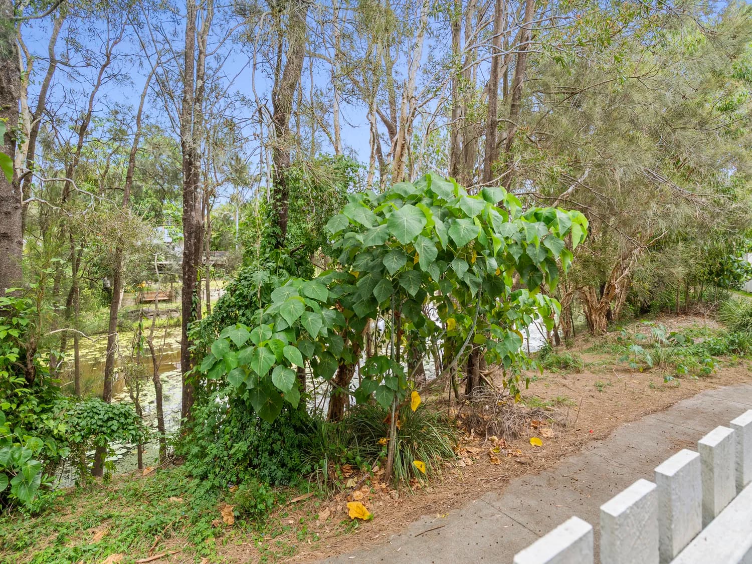 94 Florabella Drive, Robina, QLD, 4226, Robina - Thumbnail 7