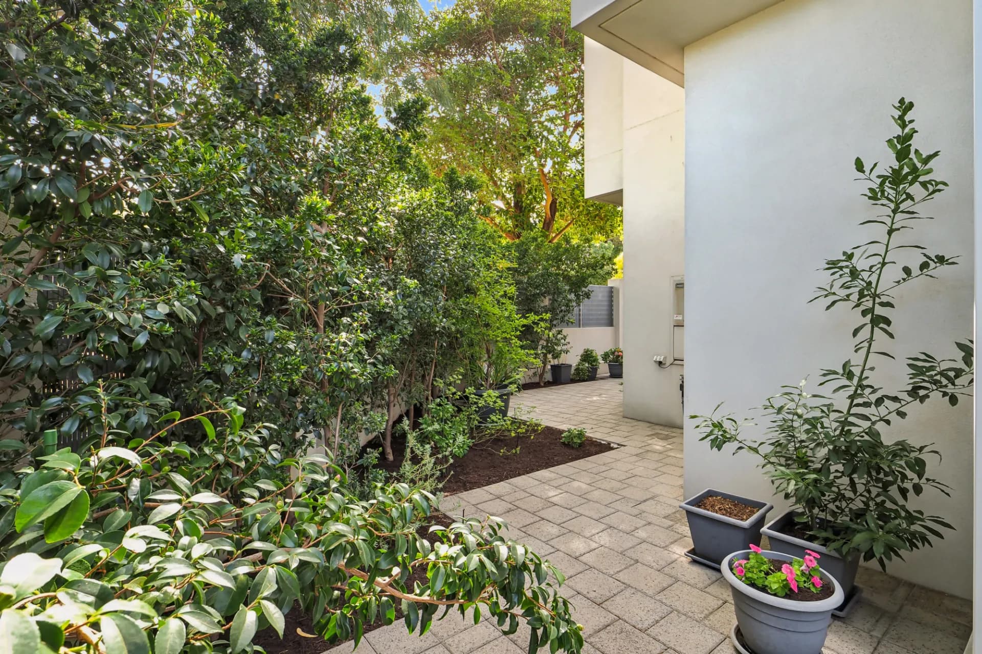 1/2 De Grey Street, Innaloo, WA, Innaloo - Thumbnail 6