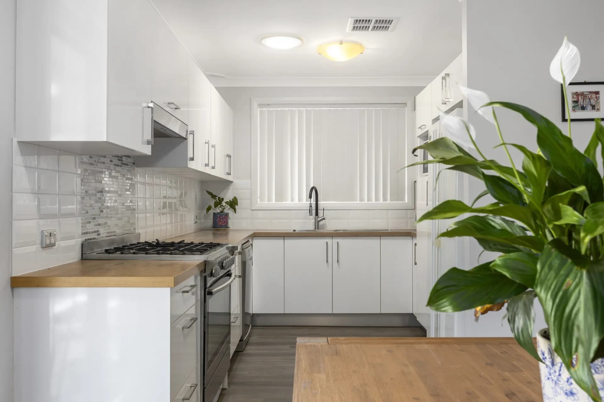48 Troy Street, Emu Plains, NSW, Emu Plains - Thumbnail 4