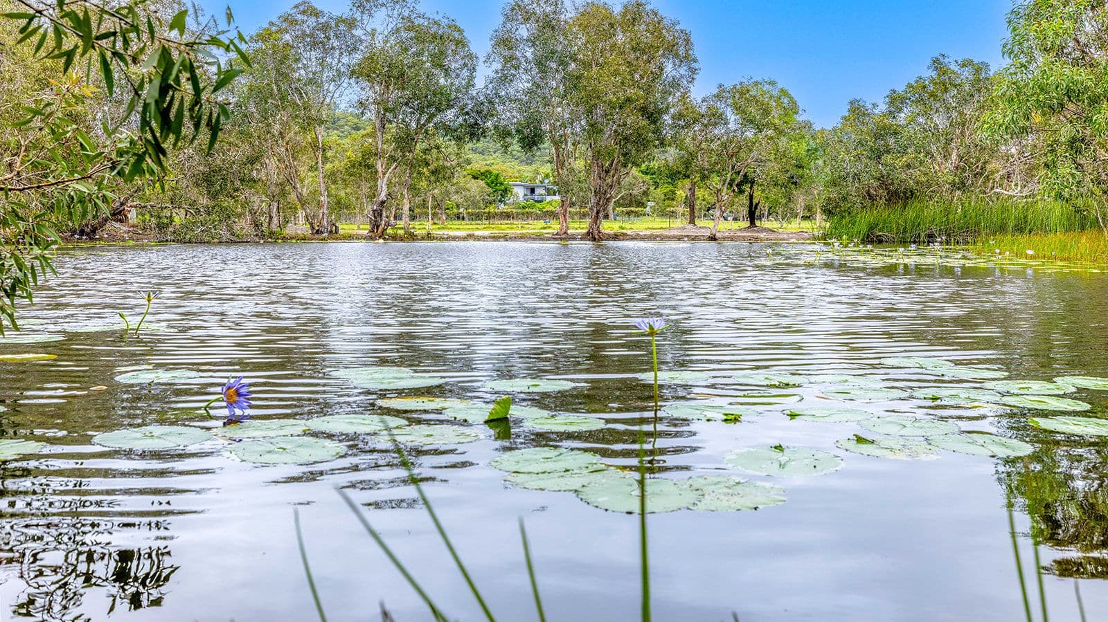 72 Streeter Drive, Agnes Water QLD 4677, Agnes Water - Thumbnail 4