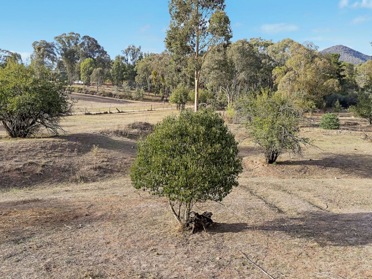 78 Waterworks Road, MUDGEE, Mudgee - Thumbnail 7