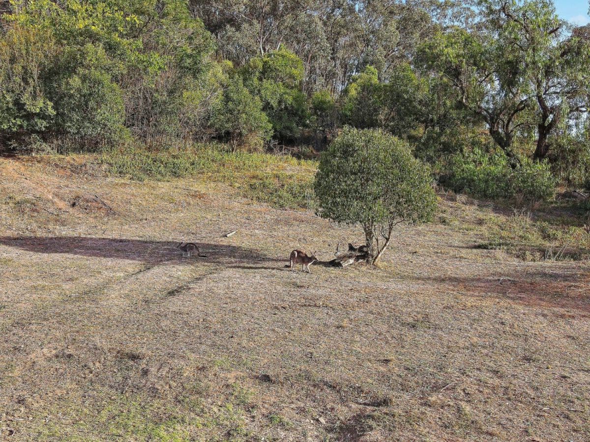 78 Waterworks Road, MUDGEE, Mudgee - Thumbnail 8