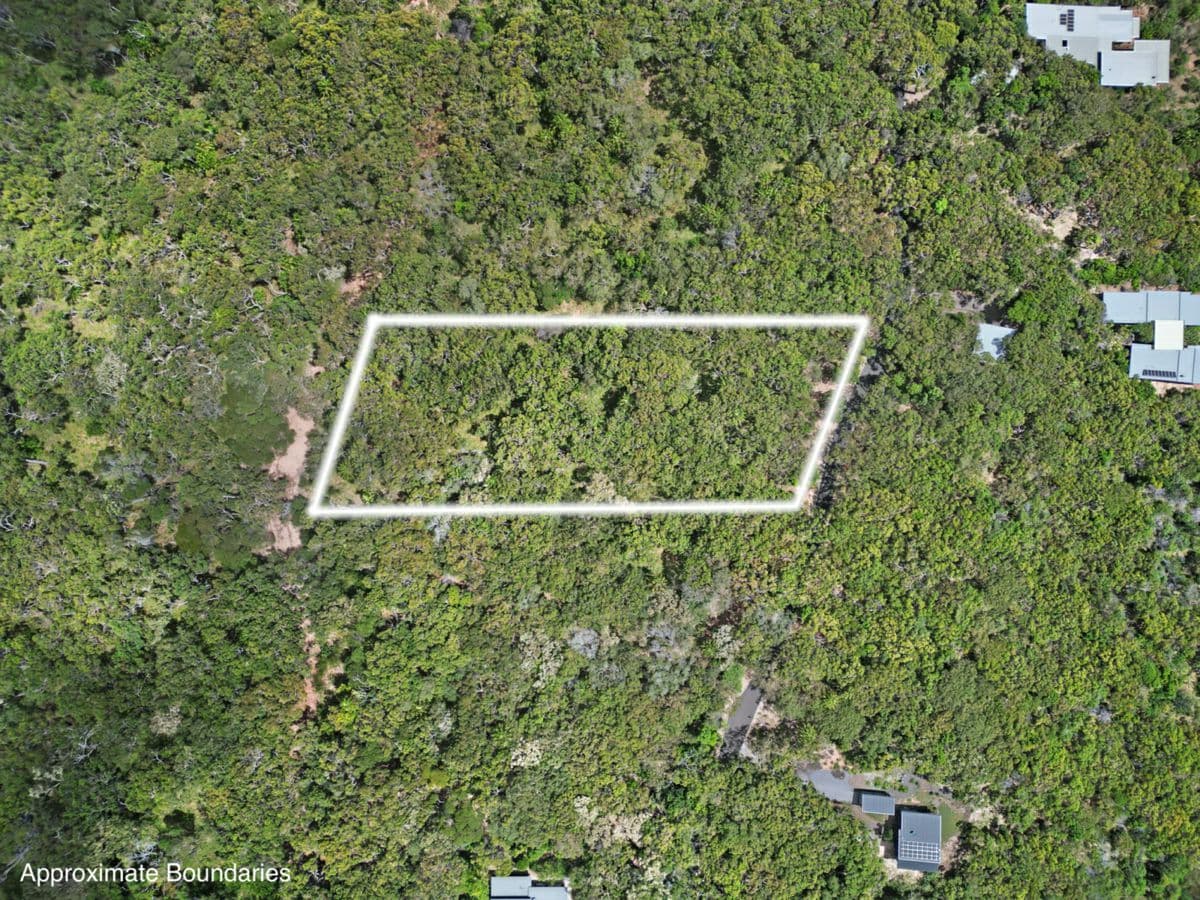 75 Bloodwood Avenue, AGNES WATER, Agnes Water - Thumbnail 7