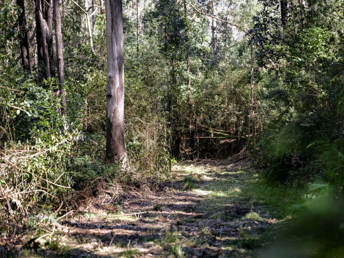 3542 Nowendoc Road, CAFFREYS FLAT, Caffreys Flat - Image 1