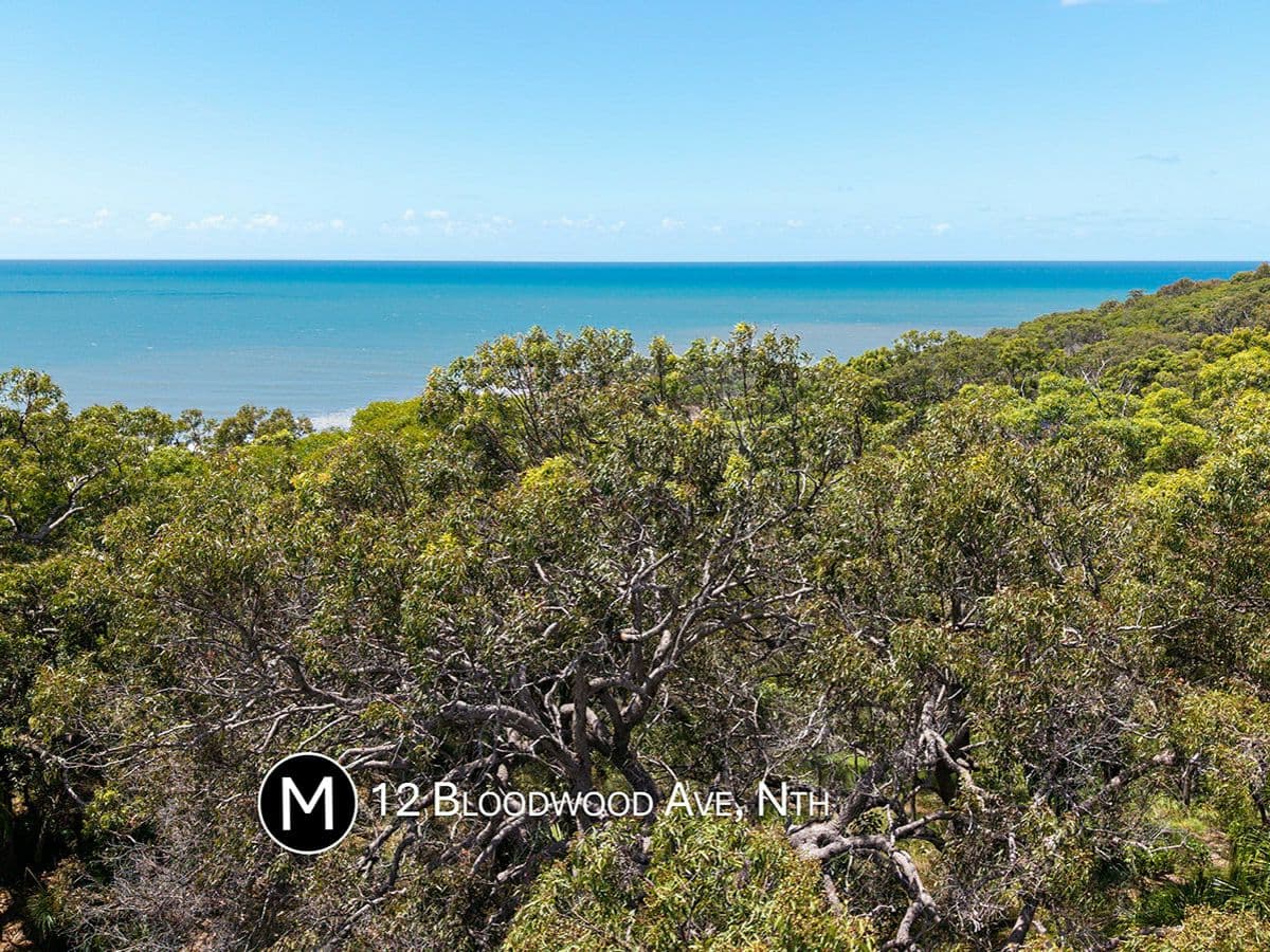 12 Bloodwood Avenue North, AGNES WATER, Agnes Water - Thumbnail 4