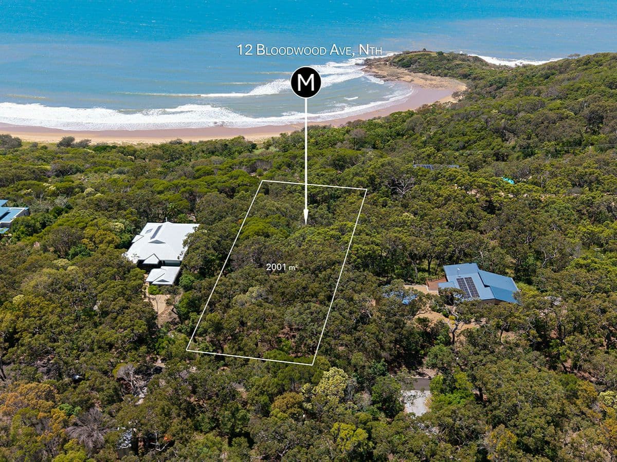 12 Bloodwood Avenue North, AGNES WATER, Agnes Water - Thumbnail 8