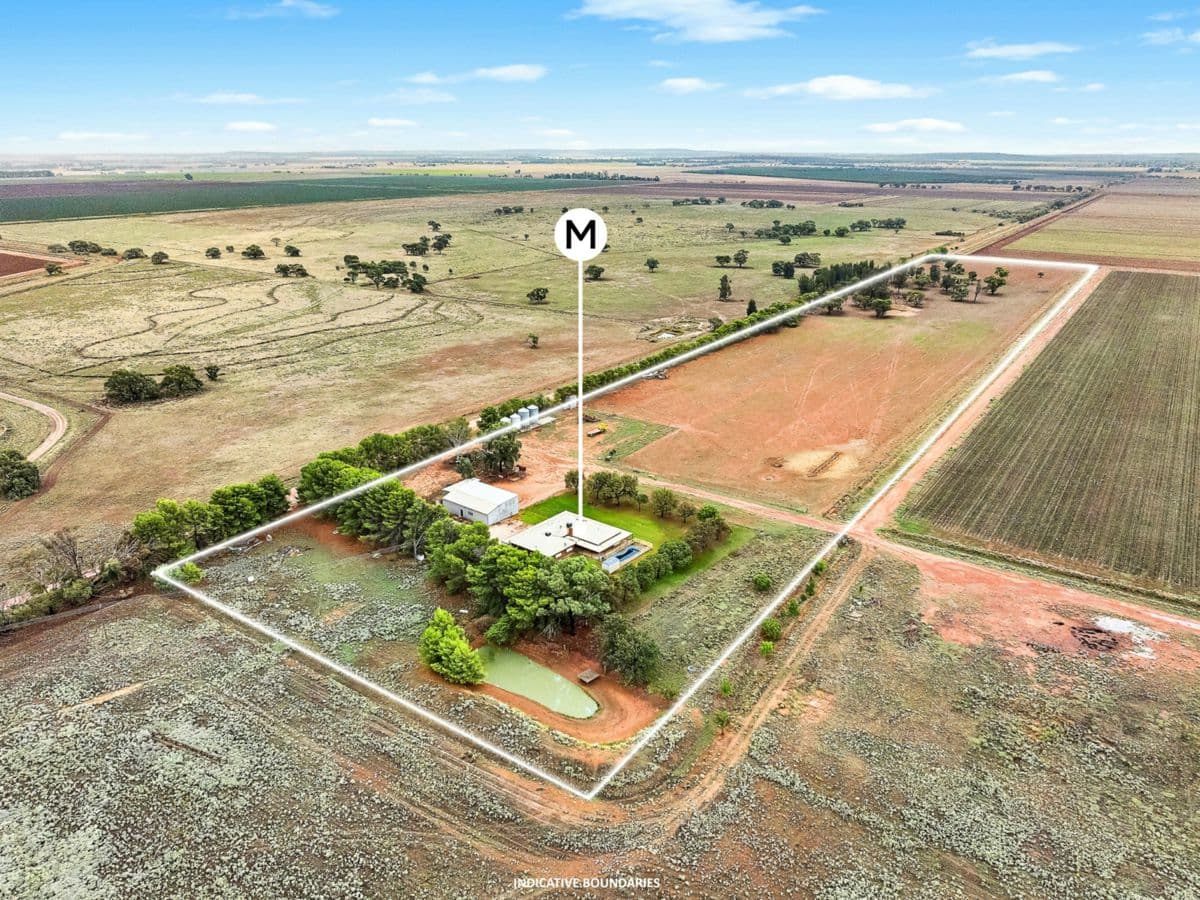 456 Boundary Road, LEETON, Leeton - Thumbnail 2