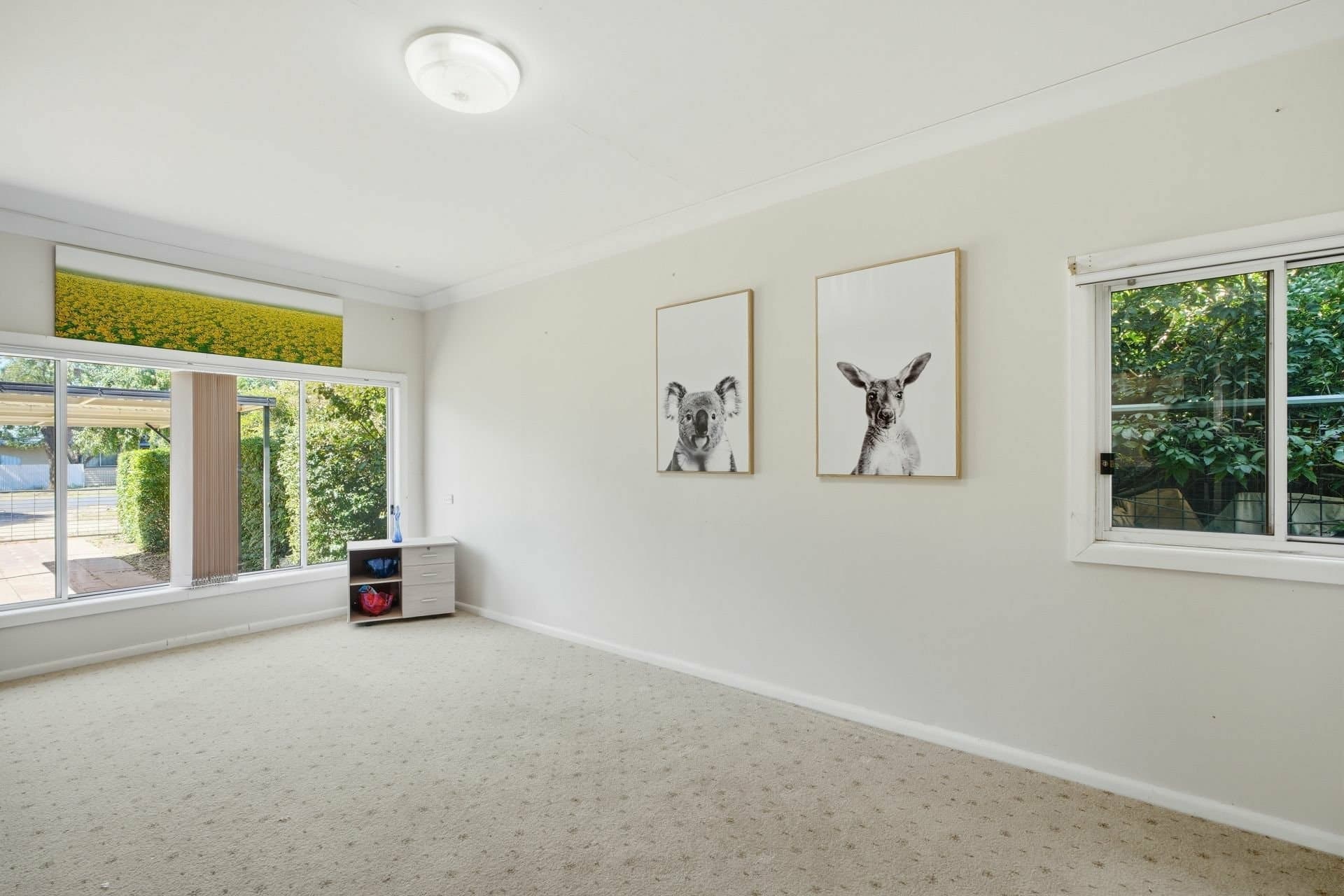 118 Temoin Street, Narromine, Narromine - Thumbnail 4