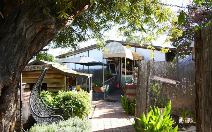 77 Ral Ral Avenue, Renmark, SA, 5341, Renmark - Thumbnail 7
