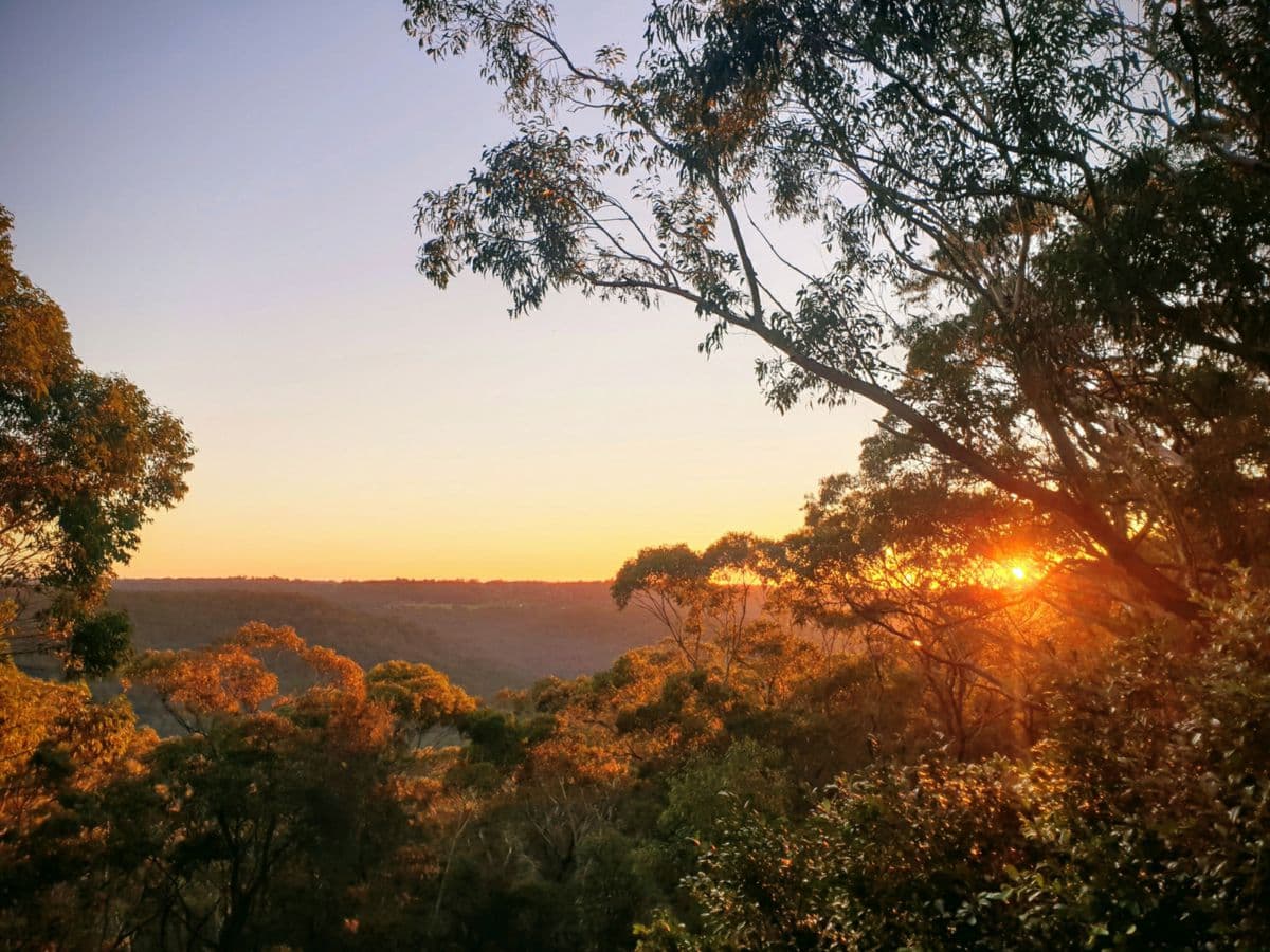 31 Wymah Crescent, BEROWRA HEIGHTS, Berowra Heights - Thumbnail 4