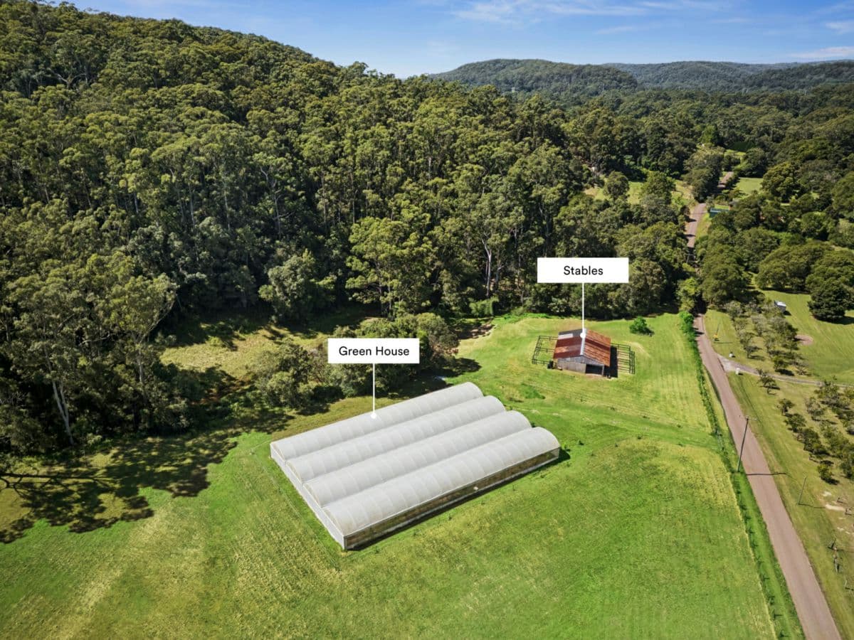 15 Frederick Street, OURIMBAH, Ourimbah - Thumbnail 4