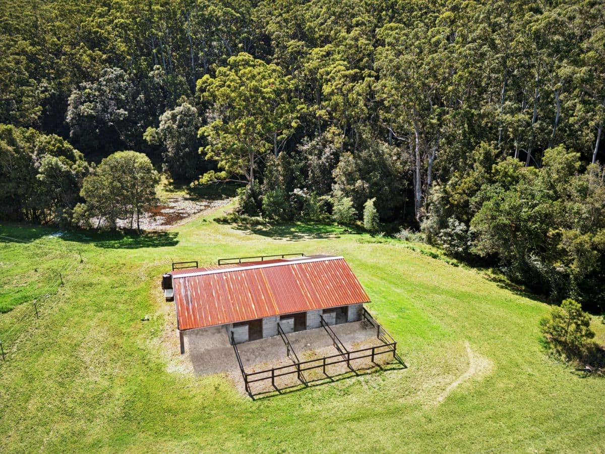 15 Frederick Street, OURIMBAH, Ourimbah - Thumbnail 6