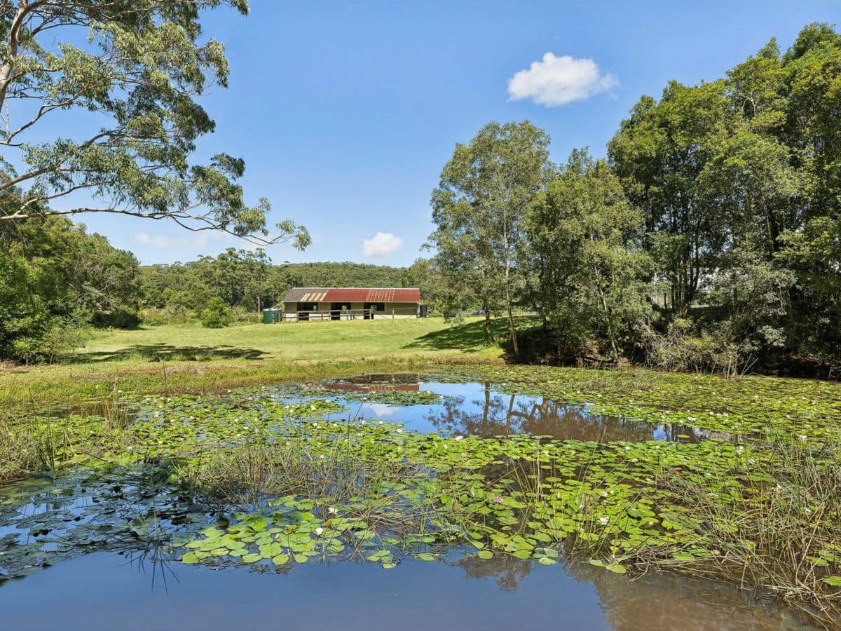 15 Frederick Street, OURIMBAH, Ourimbah - Thumbnail 8