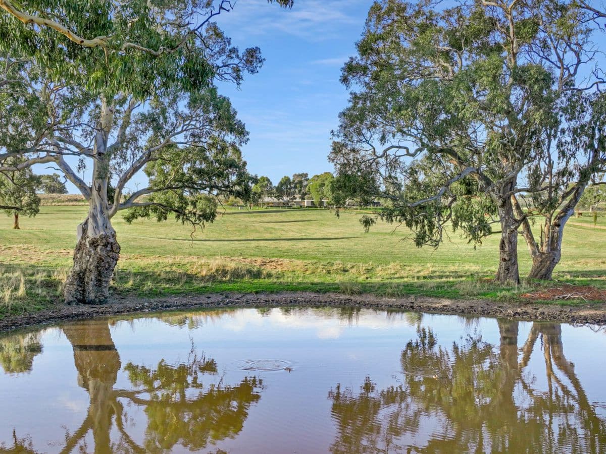 75 McLeod Lane, MANSFIELD, Mansfield - Thumbnail 5