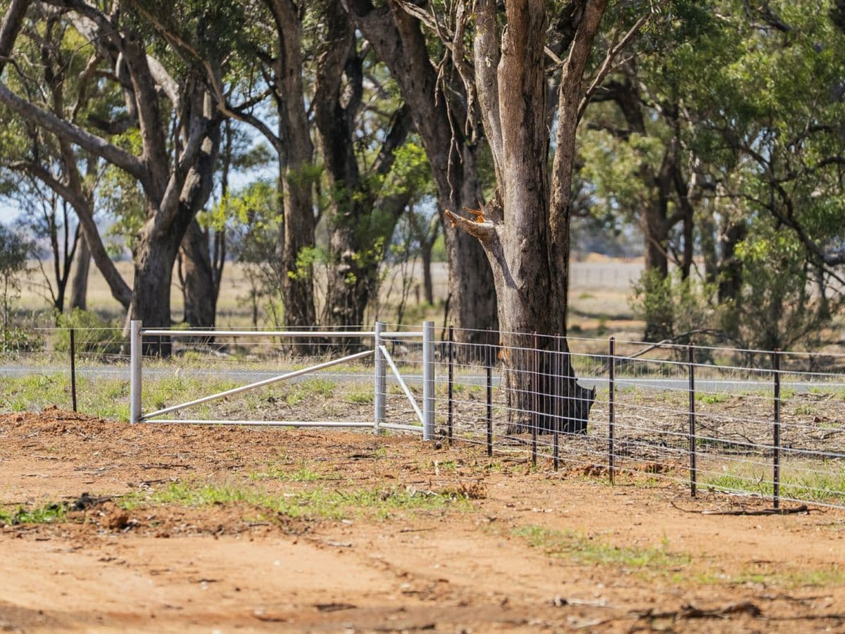 Combaning Road, TEMORA, Temora - Thumbnail 3