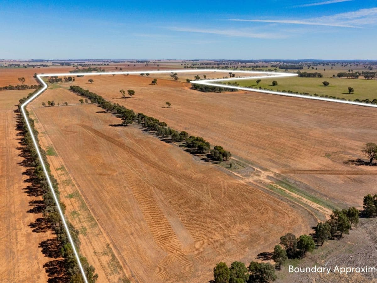 Combaning Road, TEMORA, Temora - Thumbnail 4