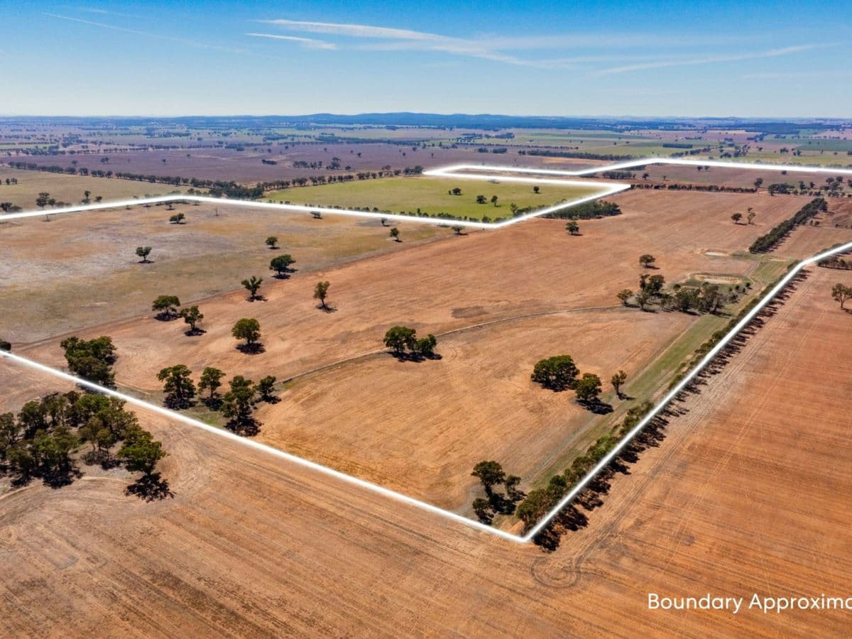 Combaning Road, TEMORA, Temora - Thumbnail 5