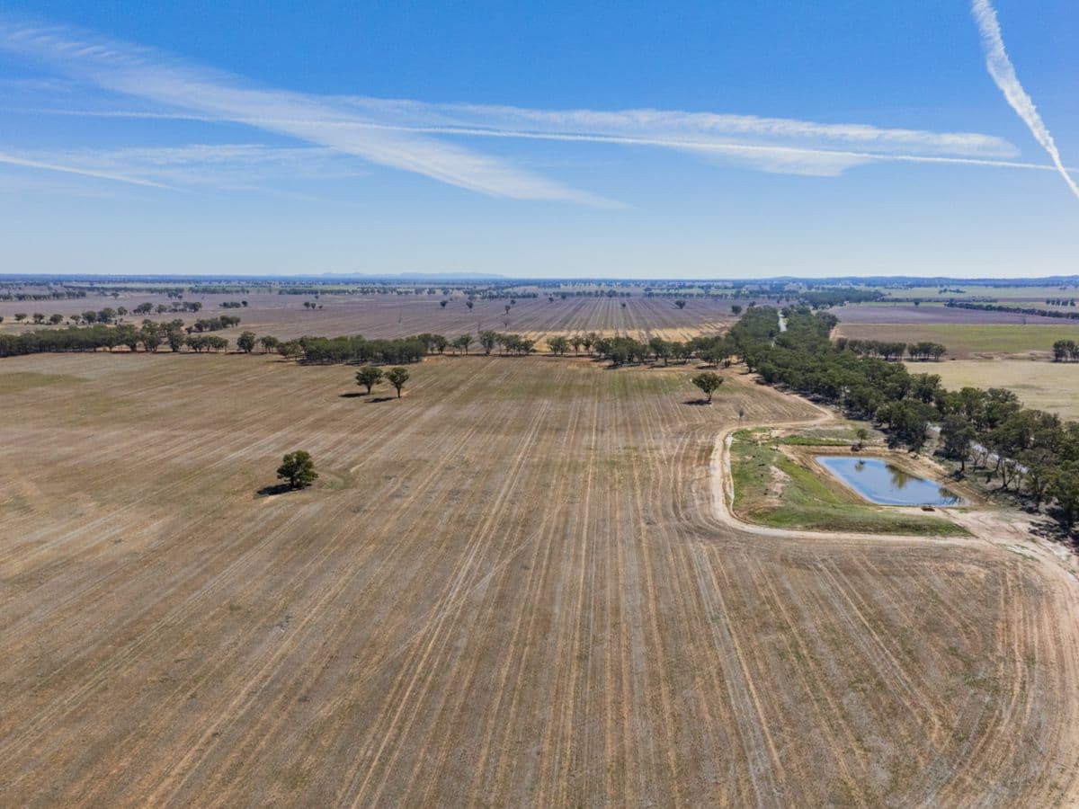 Combaning Road, TEMORA, Temora - Thumbnail 6