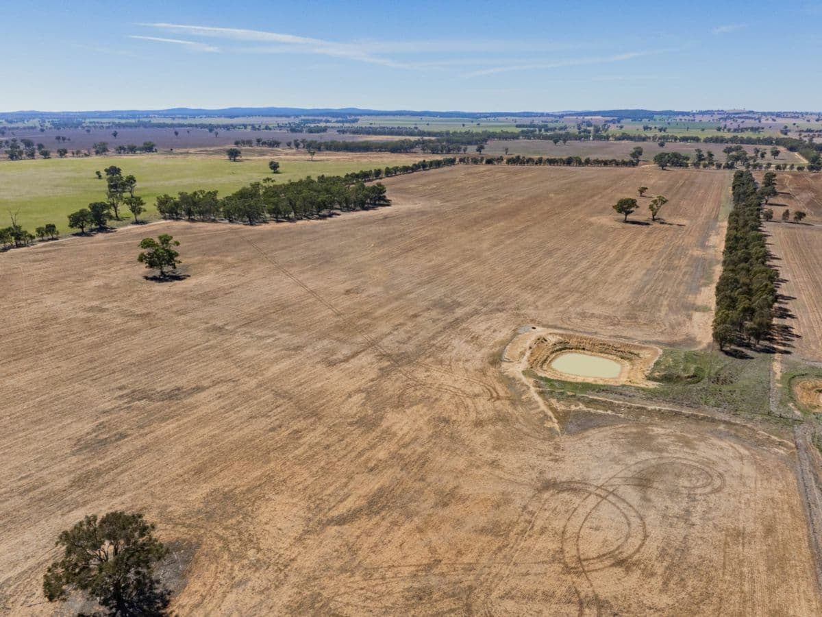 Combaning Road, TEMORA, Temora - Thumbnail 7