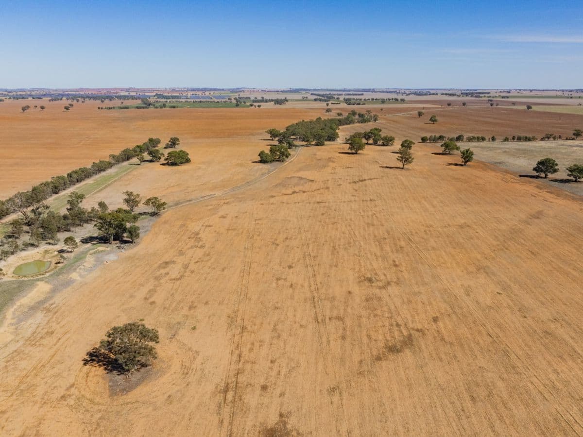 Combaning Road, TEMORA, Temora - Thumbnail 8