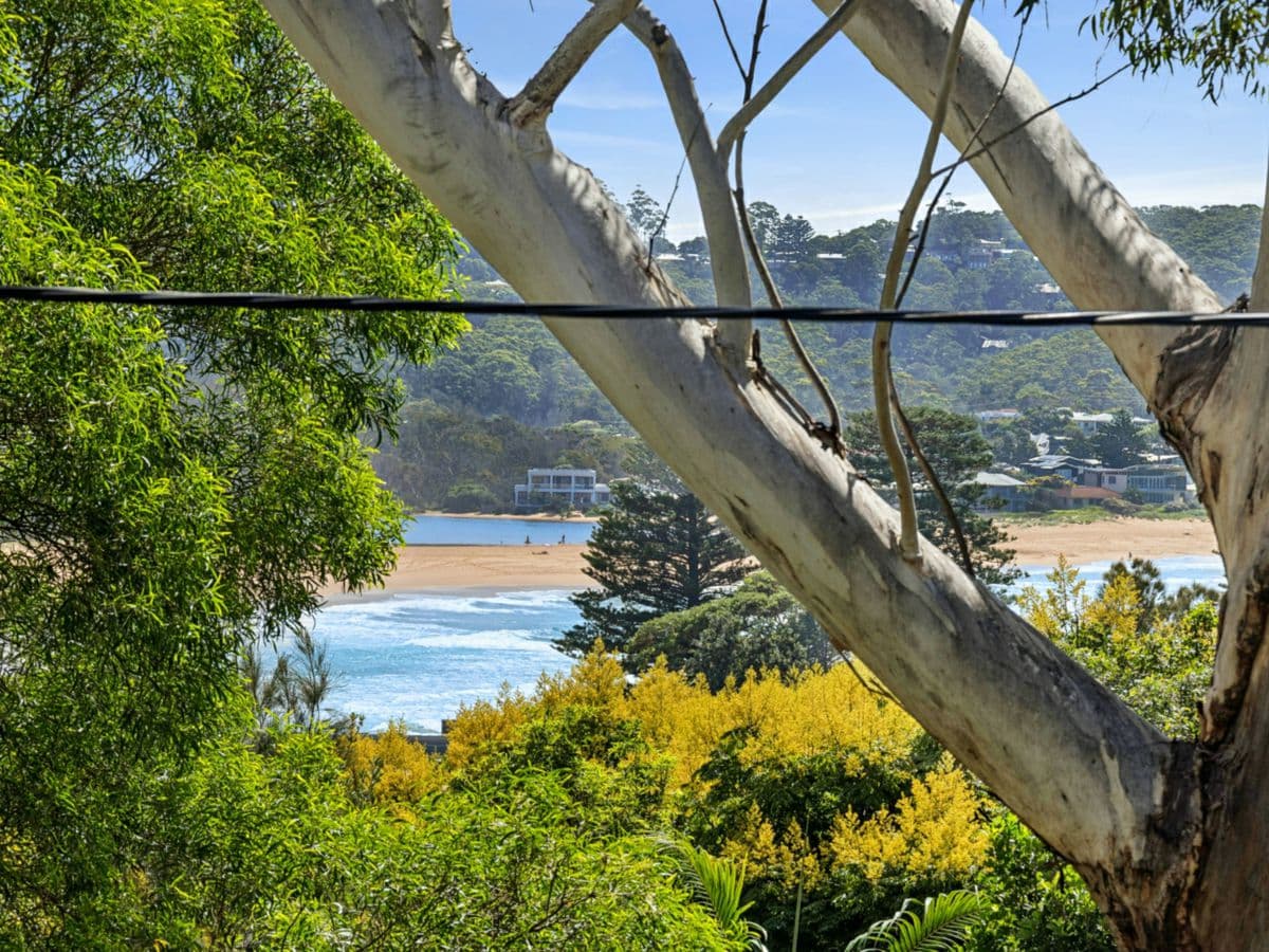 49 Ascot Avenue, AVOCA BEACH, Avoca Beach - Thumbnail 5