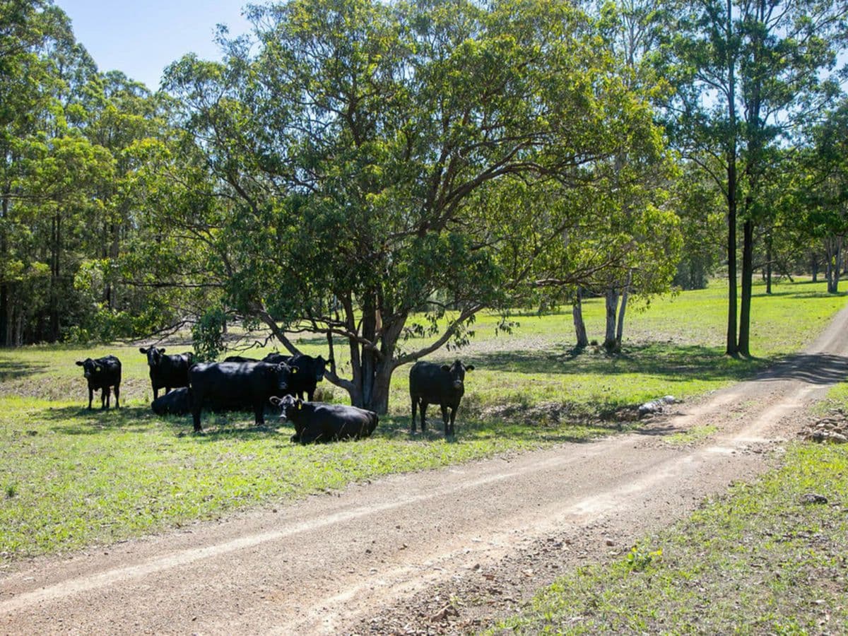 1514 Willina Road, GLOUCESTER, Gloucester - Thumbnail 5