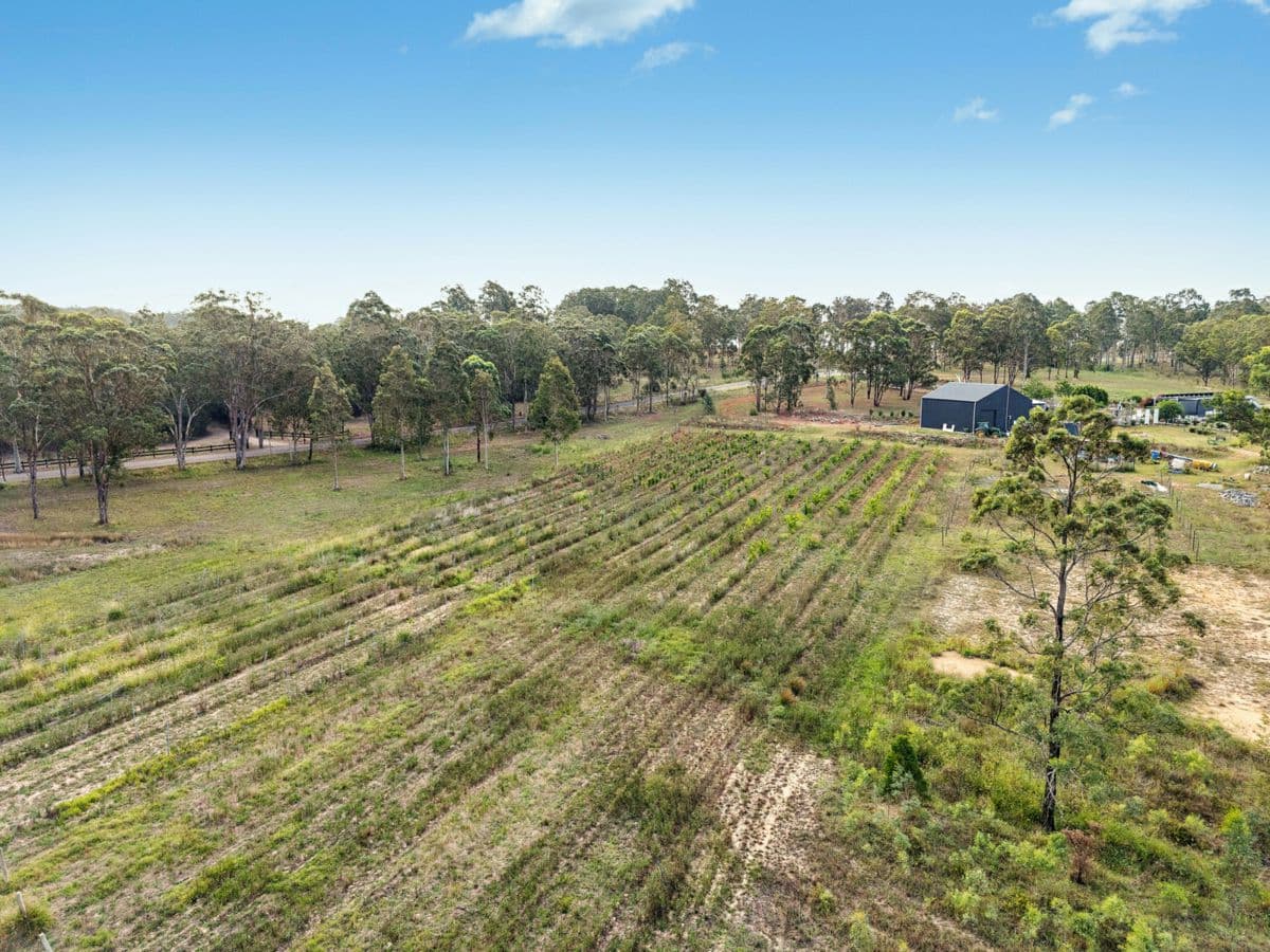 696 Mcdonalds Road, POKOLBIN, Pokolbin - Thumbnail 4
