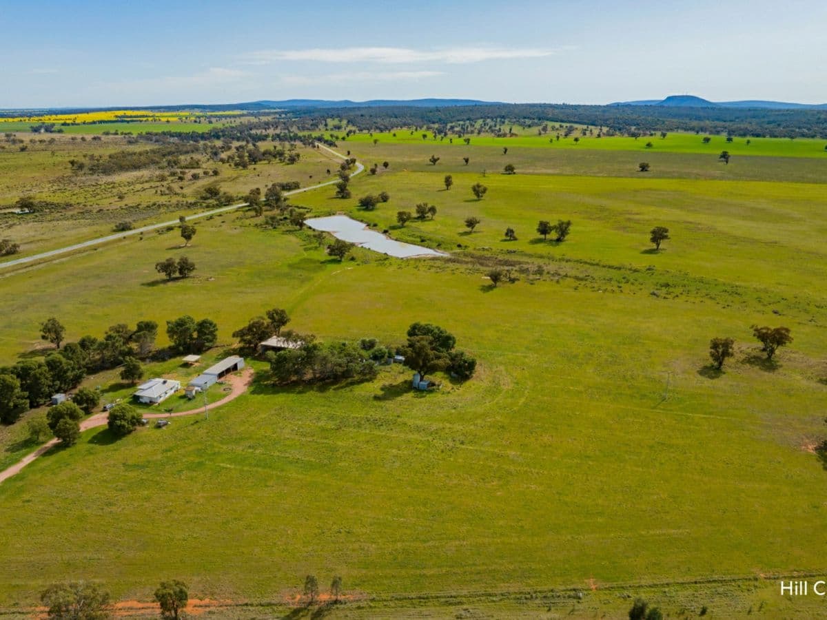 Kamarah Road, NARRANDERA, Narrandera - Thumbnail 4