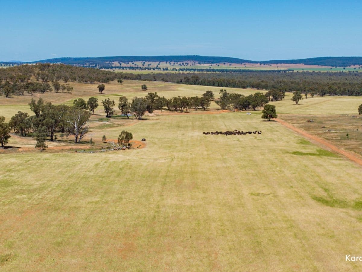 Kamarah Road, NARRANDERA, Narrandera - Thumbnail 6