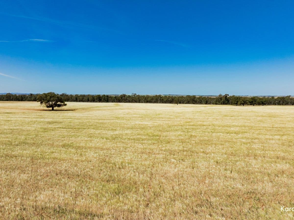 Kamarah Road, NARRANDERA, Narrandera - Thumbnail 7