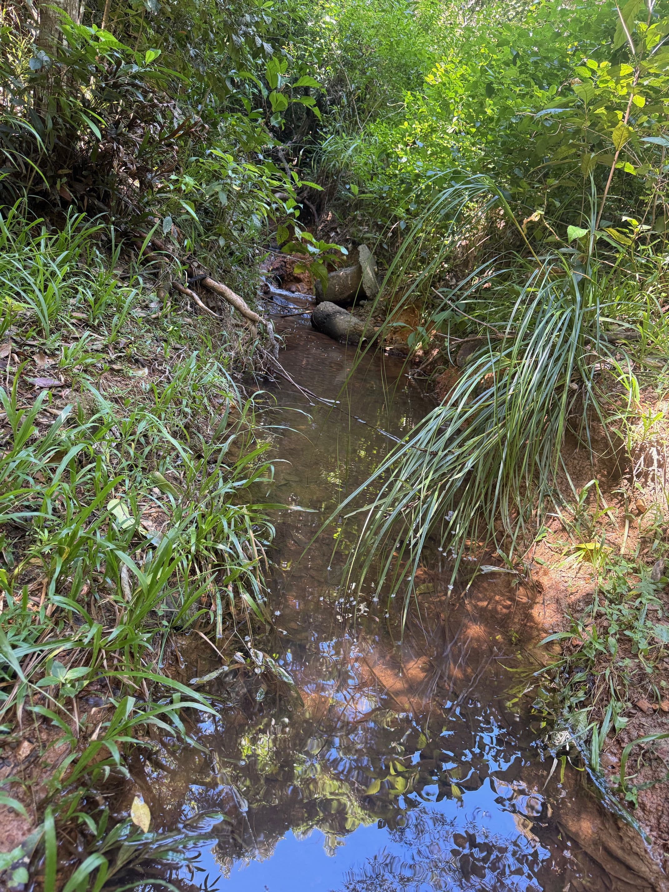 48 Sanctuary Close, Speewah QLD 4881, Speewah - Thumbnail 2