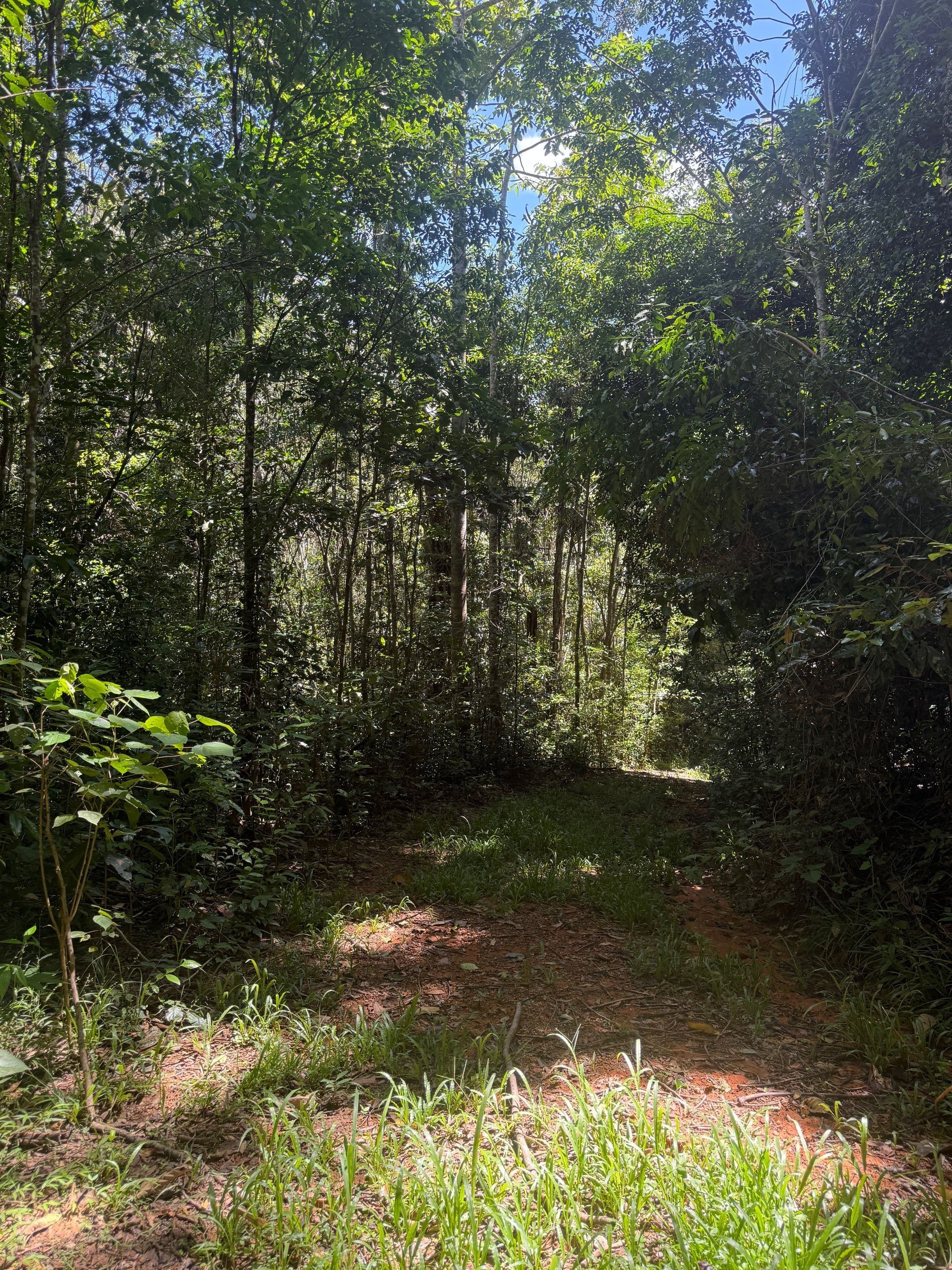 48 Sanctuary Close, Speewah QLD 4881, Speewah - Thumbnail 4