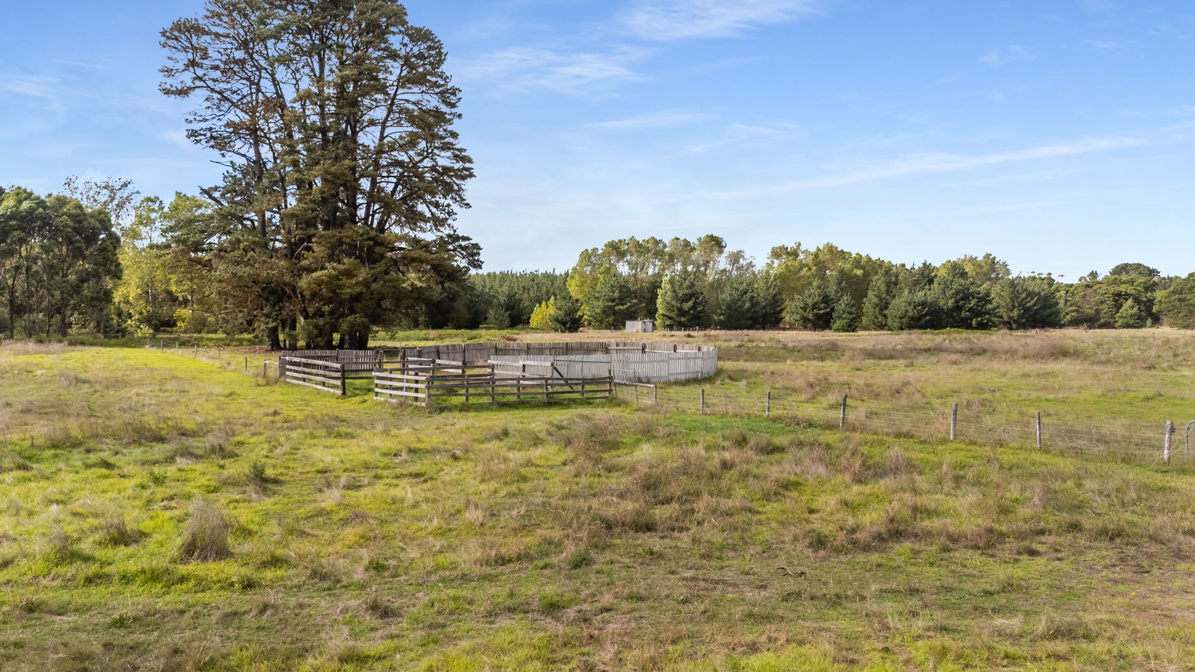7 McEwin Avenue, Tarpeena SA 5277, Tarpeena - Thumbnail 7