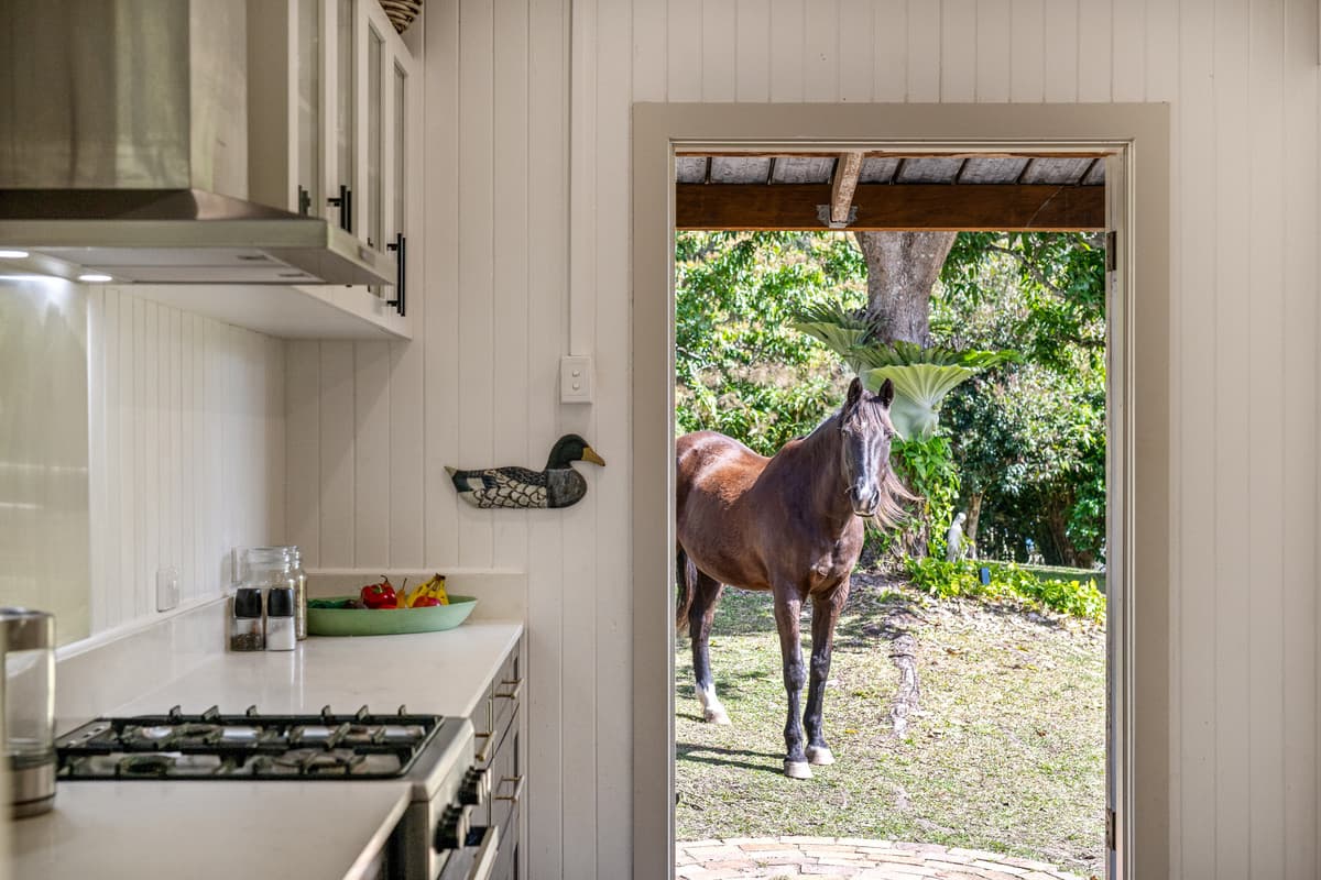 13 Diamond Valley Road, Mooloolah Valley - Thumbnail 2