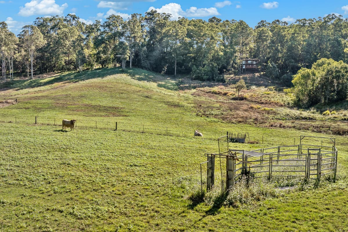 28 Country Road, Palmwoods - Thumbnail 2