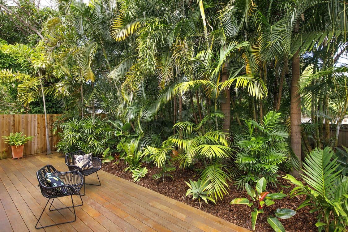 21 Eumundi Noosa Road, Noosaville, Noosaville - Thumbnail 8
