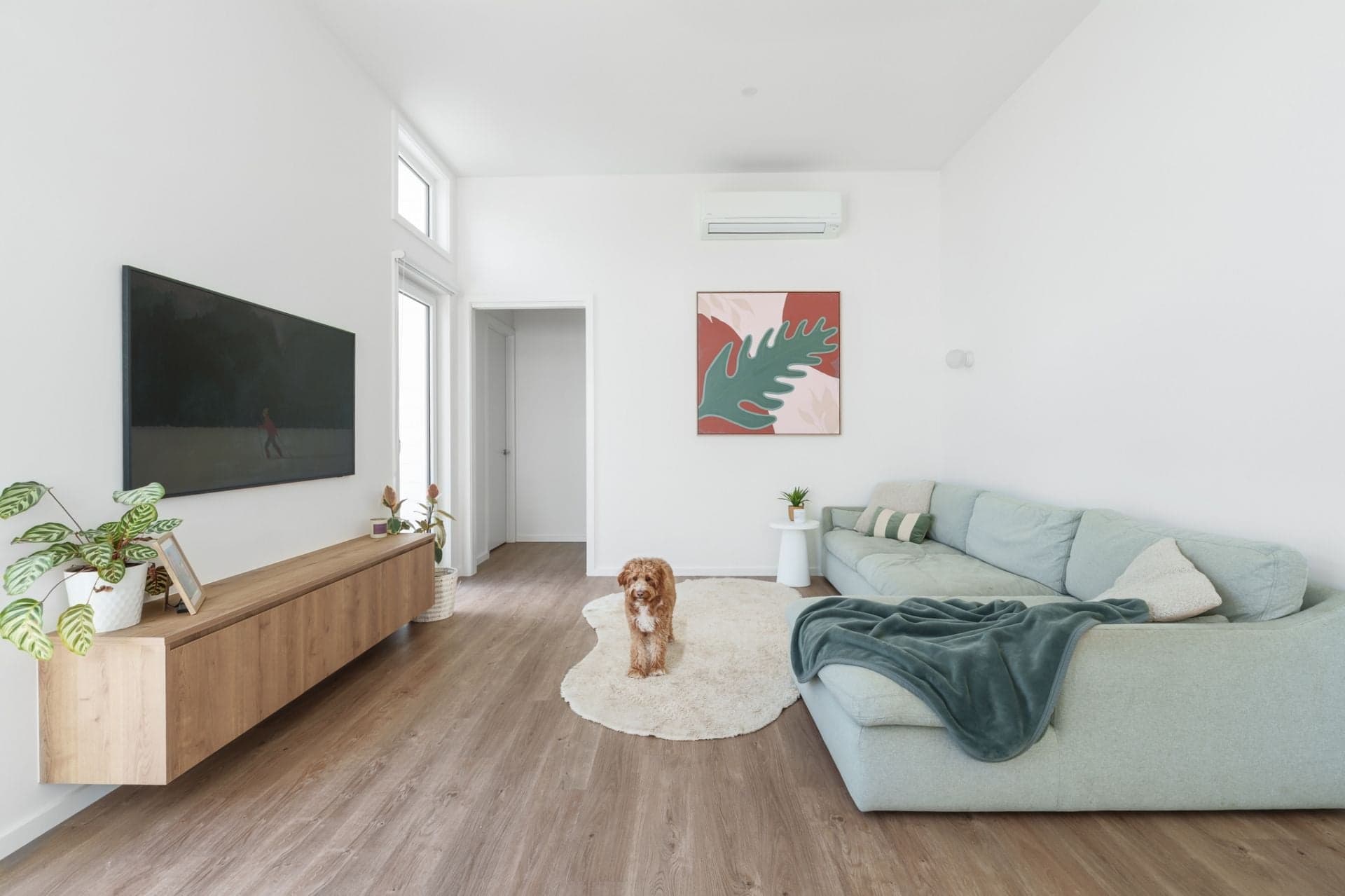 6 Cottage Crescent Torquay VIC, Torquay - Thumbnail 6