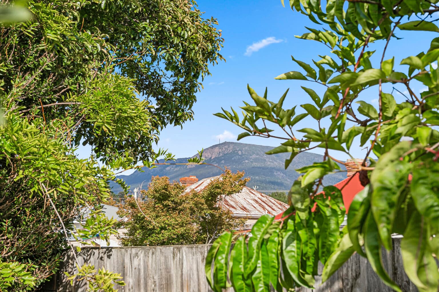74 Carlton Street, NEW TOWN TAS 7008, New Town - Thumbnail 8