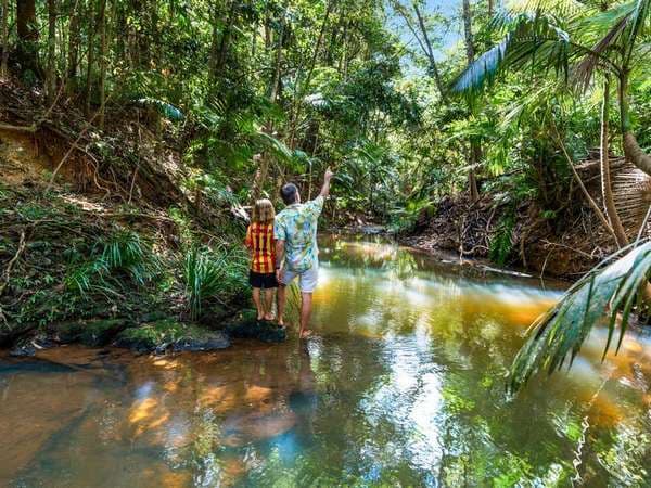 7 Discovery Drive, Kuranda - Thumbnail 2