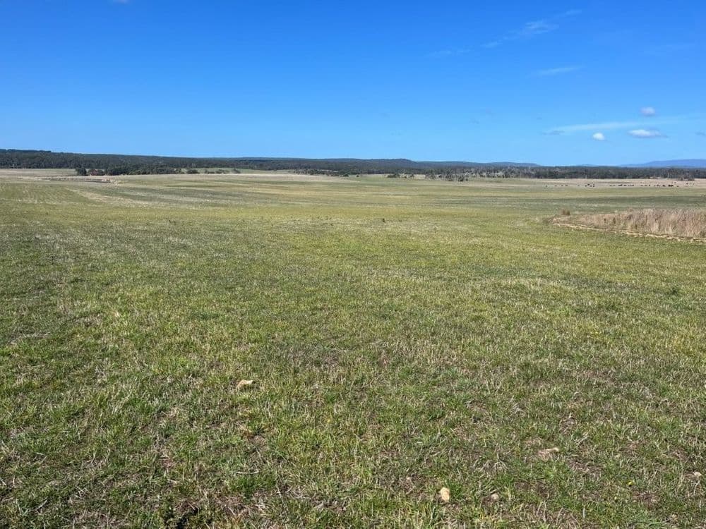 559 North Ansons Road, GLADSTONE, TAS 7264, Gladstone - Thumbnail 3