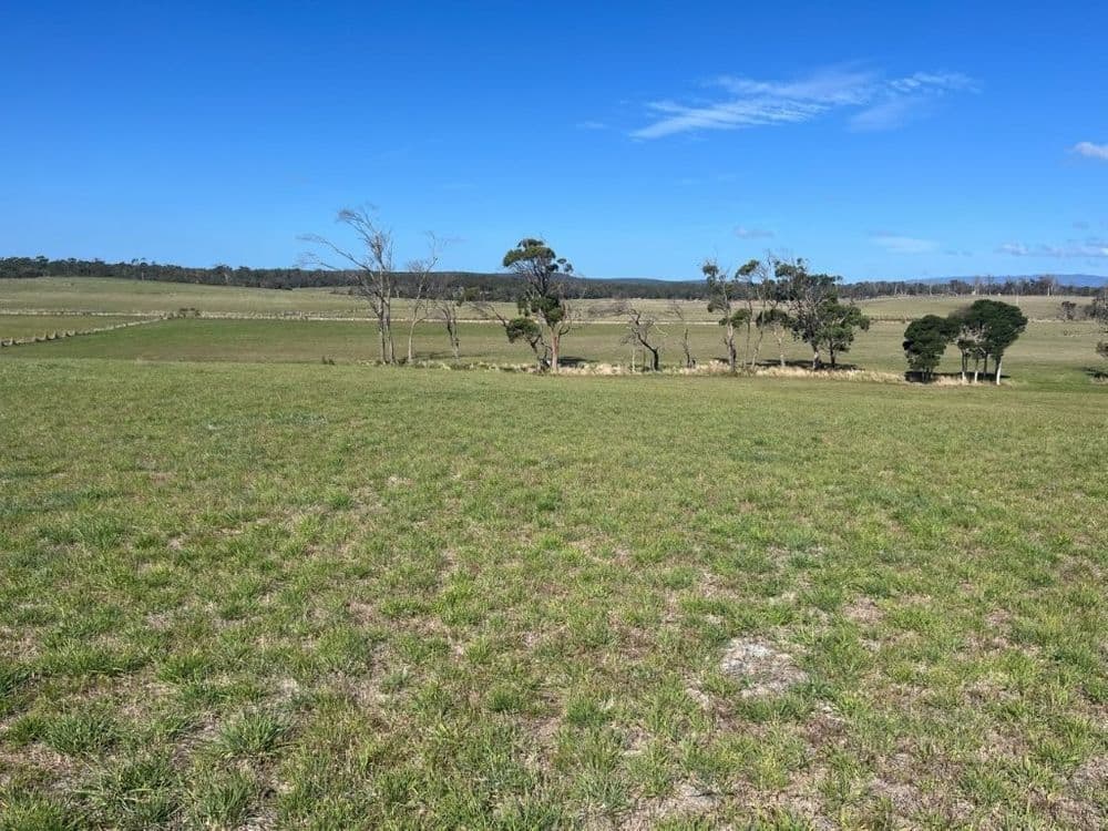 559 North Ansons Road, GLADSTONE, TAS 7264, Gladstone - Thumbnail 4