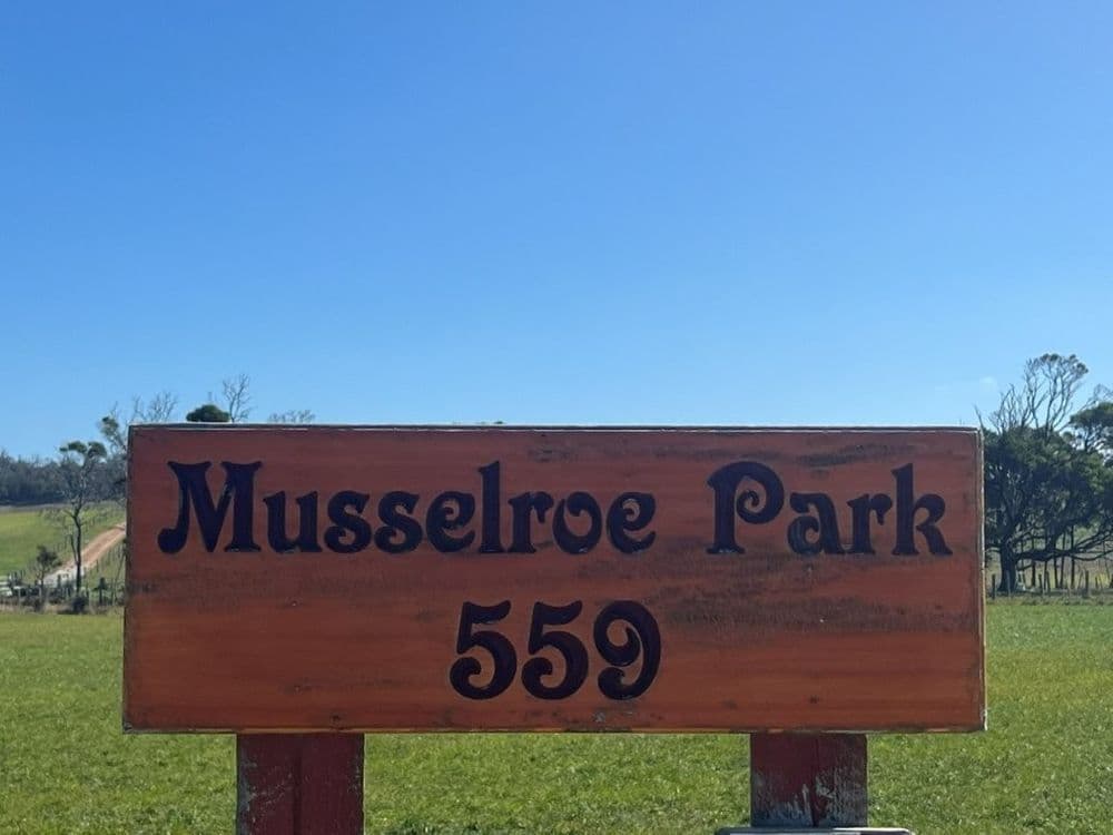 559 North Ansons Road, GLADSTONE, TAS 7264, Gladstone - Thumbnail 5