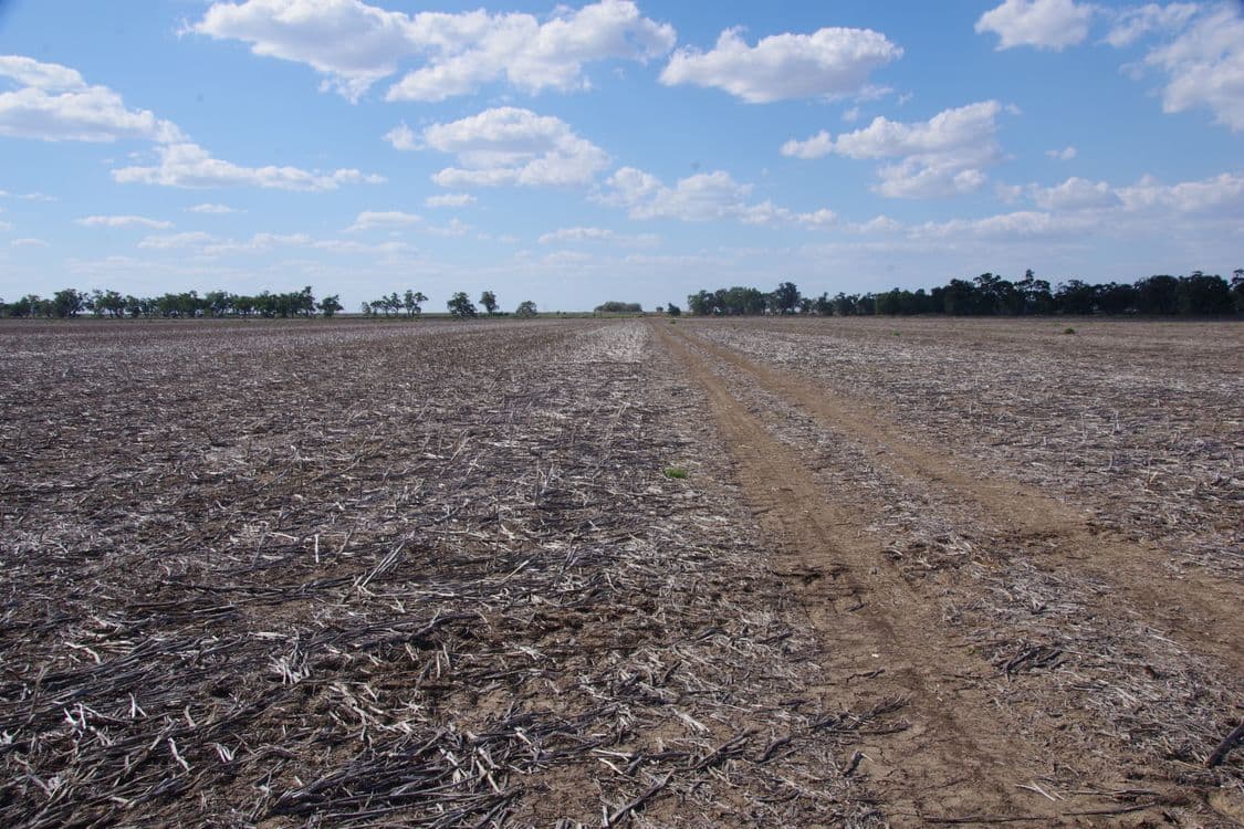 20841 Kamilaroi Highway, NARRABRI, NSW 2390, Narrabri - Thumbnail 7