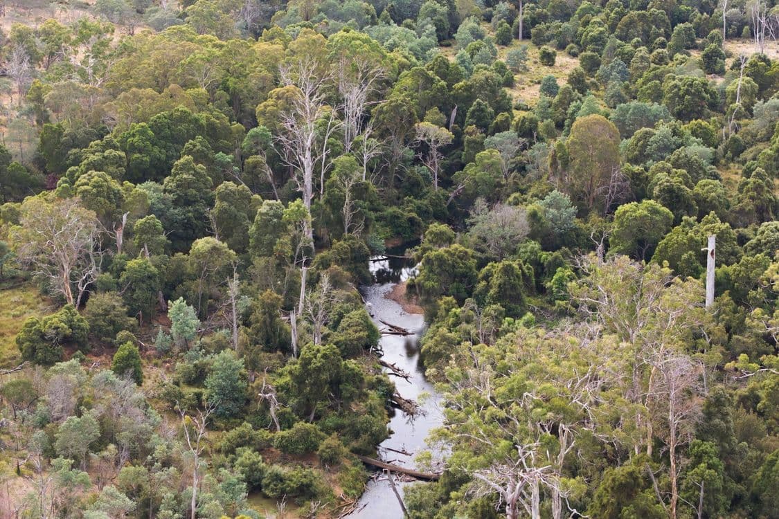 411 Bryants Lane, DEDDINGTON, TAS 7212, Deddington - Thumbnail 2